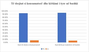 Raport Përmbledhës TABELA 7 300x176